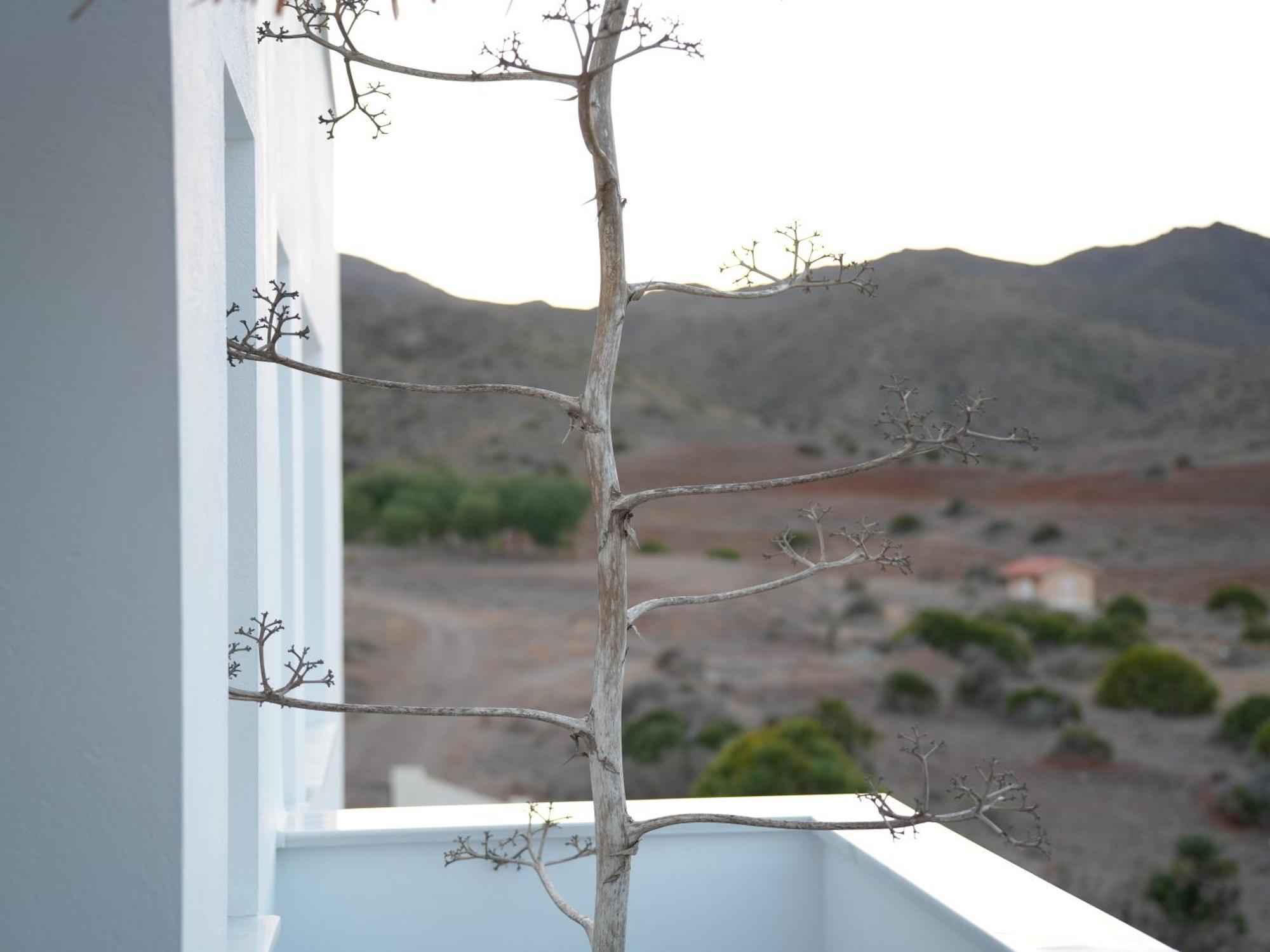 Senses Villa San Jose  Luaran gambar